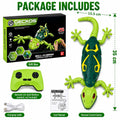 RC Wall-Climbing Gecko – fun play toy for kids at KIDGROWS