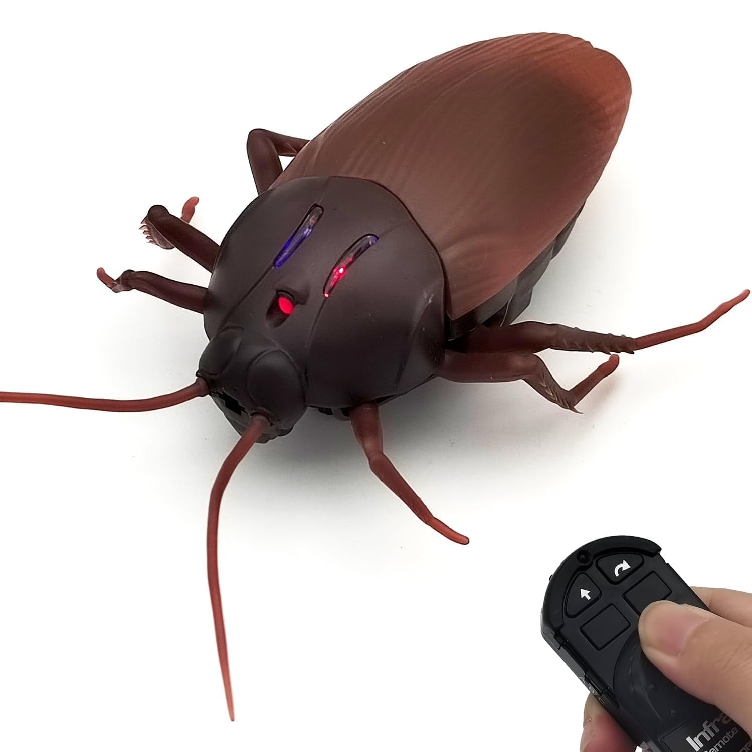 Infrared RC Insect – fun play toy for kids at KIDGROWS