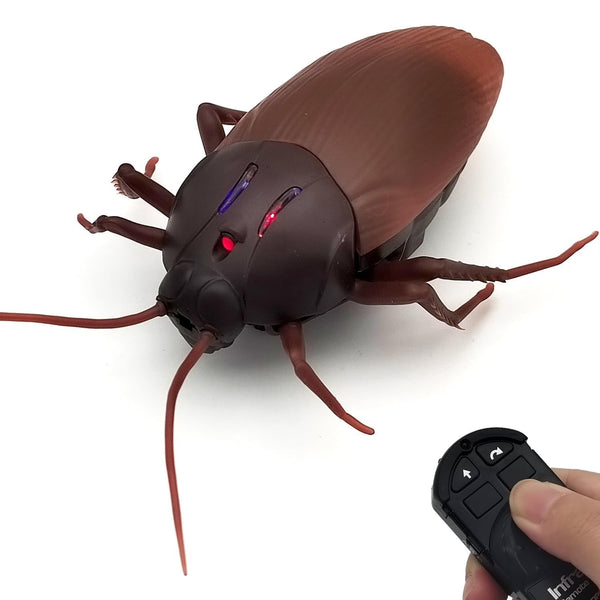 Infrared RC Insect – fun play toy for kids at KIDGROWS