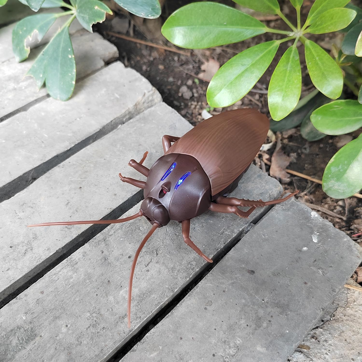 Infrared RC Insect – fun play toy for kids (view 5)